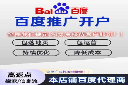 百度SEO推广案例：实战解析与优化建议